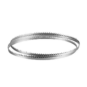 Lưỡi Cưa Xương Vỏ Trắng loại tốt 165cm Lưỡi Cưa Xương Vỏ Trắng loại tốt 165cm